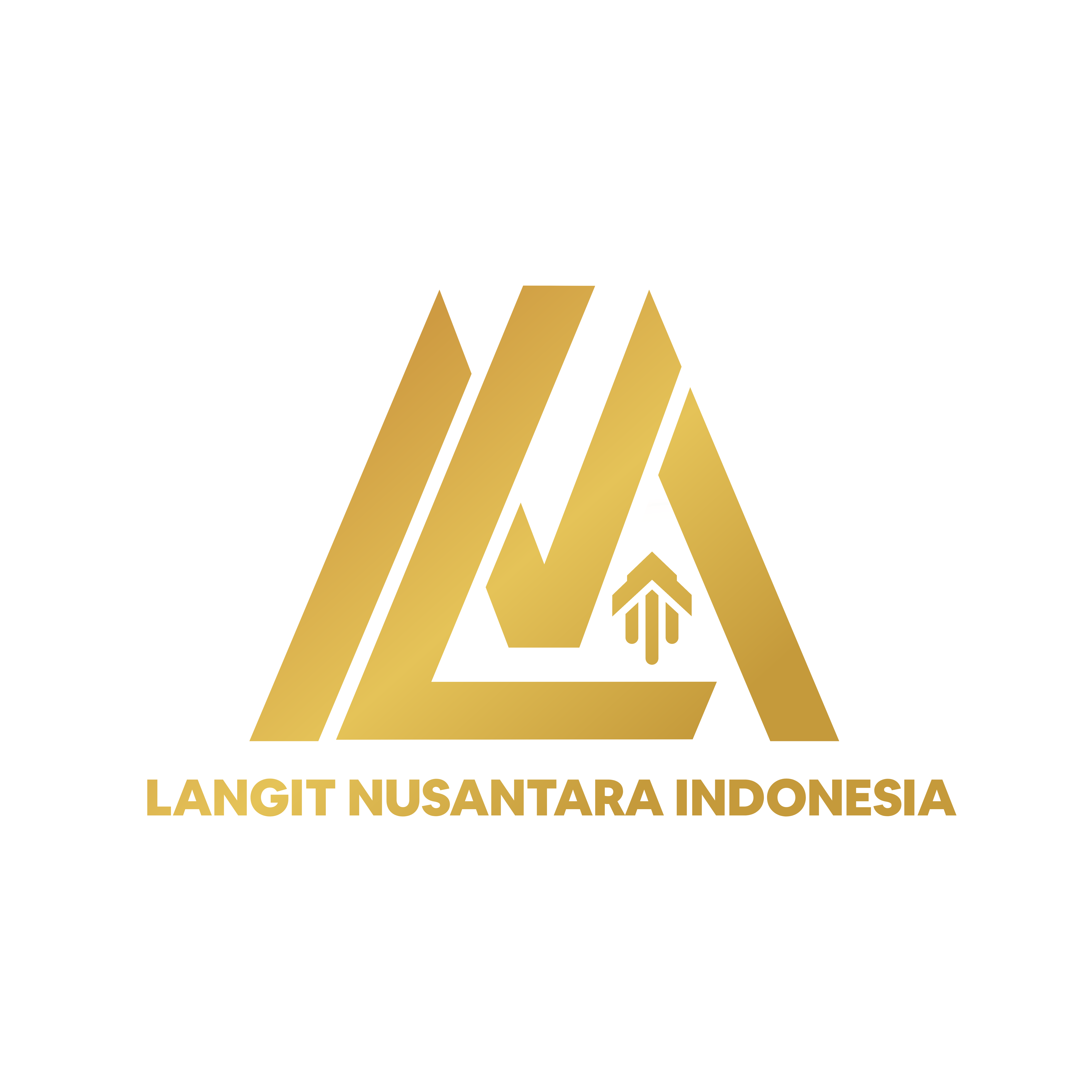 Langit Nusa Internasional