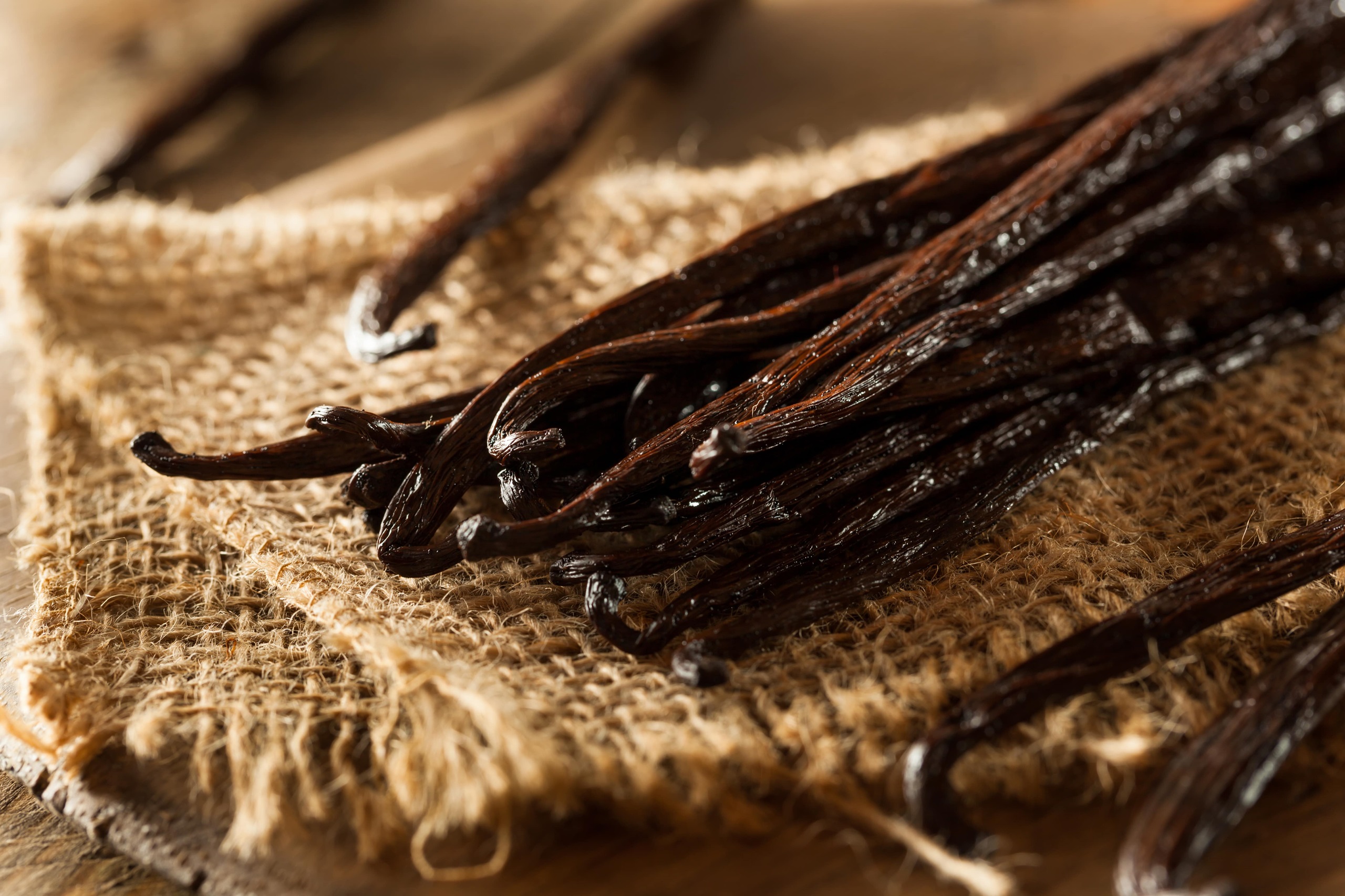 Vanilla beans and writing blog