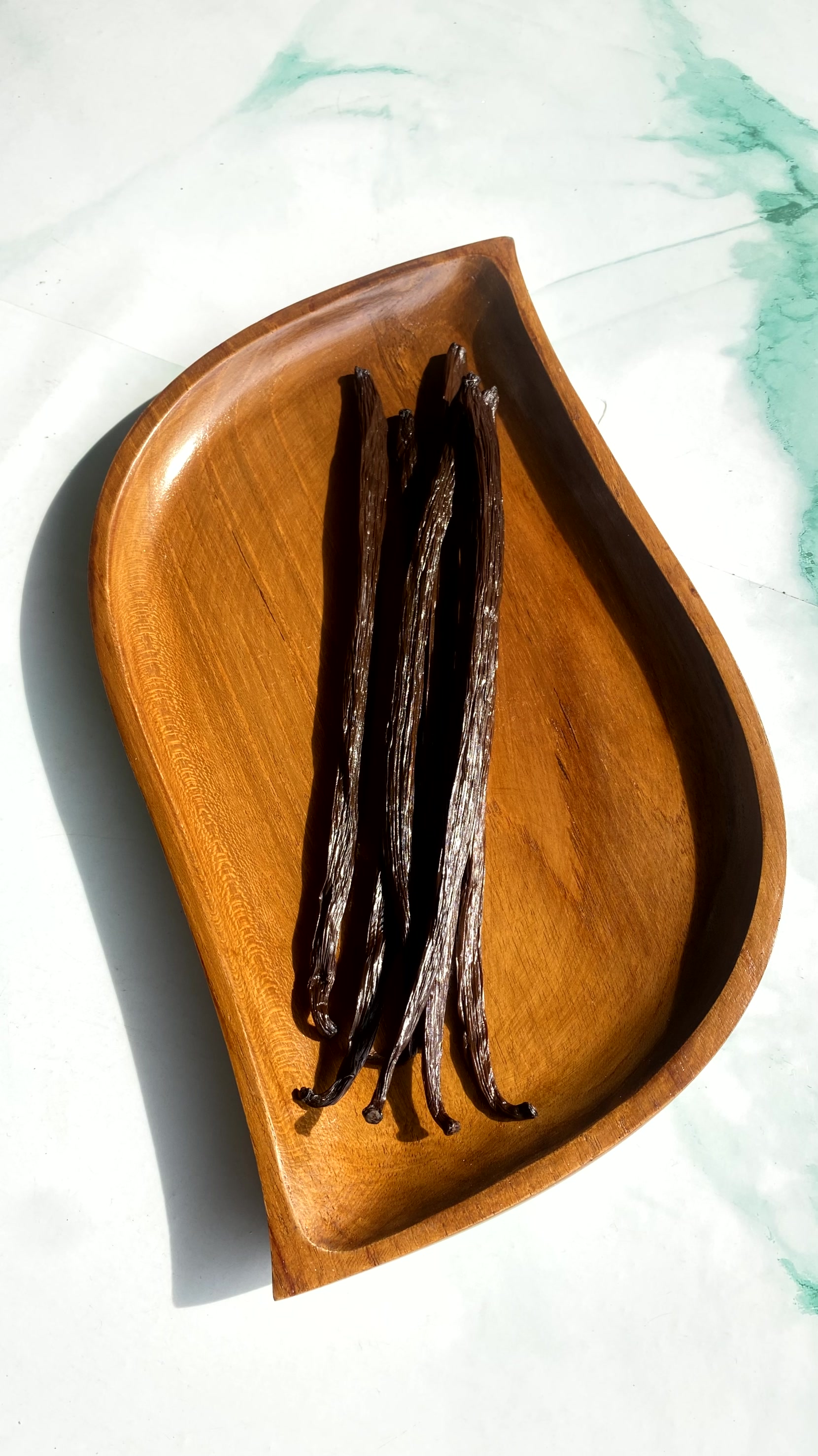 vanilla Beans Planofolia Gourmet (Bourbon)