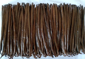 Vanilla Beans Planifolia Grade A High Quality